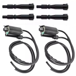 Unbranded 2x Ignition Coil +Spark Plug  For Honda Shadow ACE 750 VT750 1998-2003