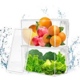 YFAIN 2 Pack Fruit Containers for Fridge, Stackable Ice Container for Freezer with Handles, Clear Pantry Organization and Storage, Kitchen Organization for Food Vegetable Salad with Lids