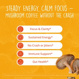 Fungi Fuel Mushroom Coffee with 125mg Caffeine – Lion’s Mane, Cordyceps, Reishi & Chaga | Adaptogen Nootropic Instant Mushroom Coffee for Energy & Focus | Medium Roast, Vegan, No Sugar – 30 Servings