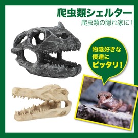 AllBright Reptile Shelter Cave Tunnel House Cave Aquarium Decoration Lizard Turtle Tropical Fish (Dinosaur Bones)