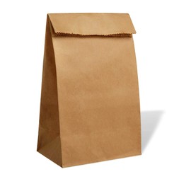 PAVILIA Kraft Paper Lunch Bags 30-pc