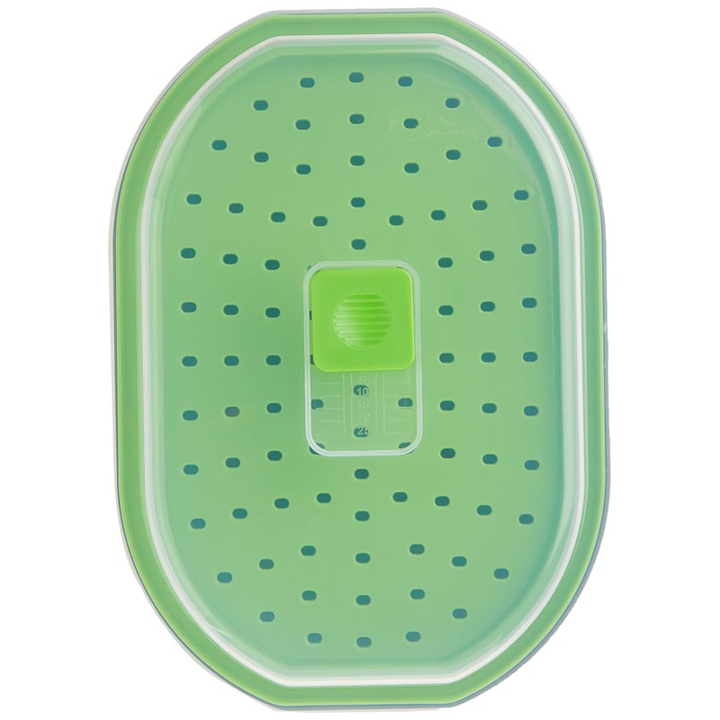 Progressive International Fish/Veggie Steamer, Gray