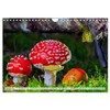 Mushrooms - Little Giants (Wall Calendar 2025 DIN A4 Landscape),