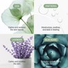 Meebak Cica Cleansing Water Pads 80P - Meebak Cica Cleansing