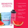 Paleovalley Essential Electrolytes Powder - Full Spectrum Watermelon Electrolyte Powder