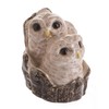 John Beswick JBB39 Owl Chicks Figurine