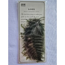 Unbranded 40 Pcs. Vellum Stickers Botanical Scrapbooking Junk Journal Crafts Green NEW