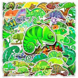50Pcs Chameleon Stickers Anole Waterproof Vinyl Decals for Adult Teen Kids Cup Water Bottles Laptop Luggage Computer Mobile Phone Guitar Skateboard Decoration