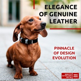 WAUDOG Long Lasting Leather Dog Collar for Large Dogs, Medium & Small Dogs - Adjustable Classic Puppy Collars for Large Breed Dogs - Boy & Girl Dog Collars with Durable Buckle, D-Ring & QR Dog Tag