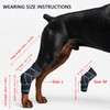 SHARKBEEPOWER Dog Knee Brace for Back Leg, ACL Support for