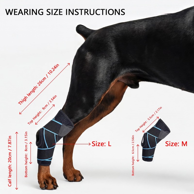 SHARKBEEPOWER Dog Knee Brace for Back Leg, ACL Support for