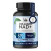 NAD+ Colágeno Hidrolizado 210 Cápsulas | LIFE360+