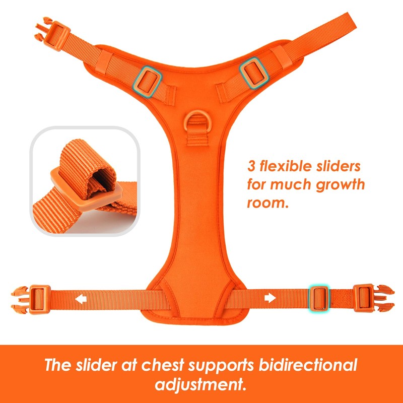 Sunraymascota No Pull Dog Harness, Puppy Vest with Front Clip