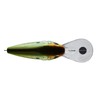 Dredger HD Tennessee Shad 10.5 (1/2 oz)