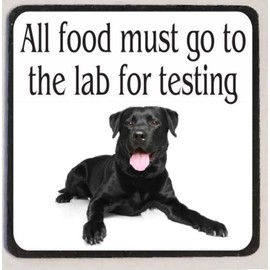 Generic Funny Fridge Magnet Refrigerator Magnet M90 Go to The Lab Black Lab, Small, As in Photo