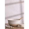 Mason Cash Rustic Charm Measuring Spoon Set 4-Piece Stoneware Set