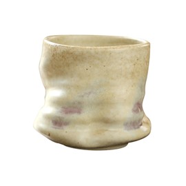 WeiLaiKeQi Tea Cup Chinese Coffee Cup Restaurants Vintage Housewarming Gift Decorative Cafes Teacup, White