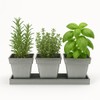 Buyitshipit Indoor Herb Garden Planter Set with Tray - Metal