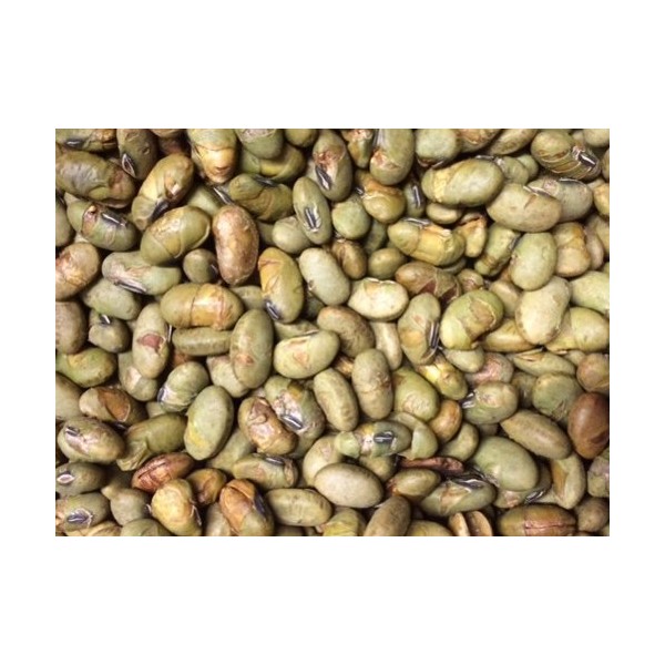 OliveNation Dry Roasted Edamame, Roasted Dried Salted Soy Nuts for Trail Mix or Healthy Snacking - 80 ounces