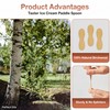 Perfect Stix 60mm Birchwood Plain Taster Ice Cream Paddle Spoon,