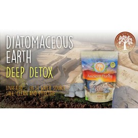 DIATOMACEOUS EARTH 220g