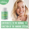 Vitabay Vitamin D3 Depot Hochdosiert 5000 IE - 500 Vegane