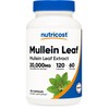 Nutricost Mullein Leaf Extract (20,000mg Equivalent) 120 Capsules - Vegan,