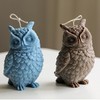 TOPYS Large Owl Silicone Candle Mold, DIY 3D Animal Resin