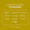 Aceite Esencial con Ingredientes Puros y Naturales, Aromalogía de 50