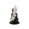FMM Moth Orchid