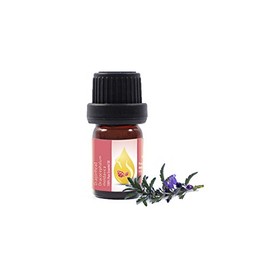 Essences Bulgaria Moldavian Dragonhead Essential Oil 1/3 Fl Oz | 10ml | Dracocephalum Moldavica | 100% Pure and Natural | Undiluted | Therapeutic Grade | Family Owned Farm | Steam-Distilled | Non-GMO