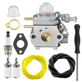 B2000 Carburetor for Craftsman b210 b2200 b2000 25CC Leaf Blower CMXGAAMR25BL 41BR25BL793 CMXGAAMRBL25 41ARBL25793 41BRBL25793 CMXGAAM204101 41AR25B2793 41BR25B2793 25cc Gas Blower Parts