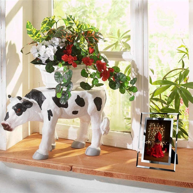 Lance Sue Postcard Size Photo Stand, Transparent, Simple, Vertical, Horizontal,