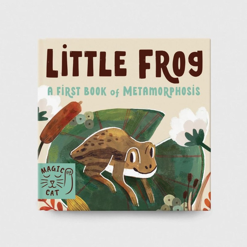 Books 5 Minute Nature Story Box