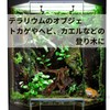Nanarico Reptile Driftwood Climbing Trees Terrarium Aqua Terrarium Aquarium Decorative