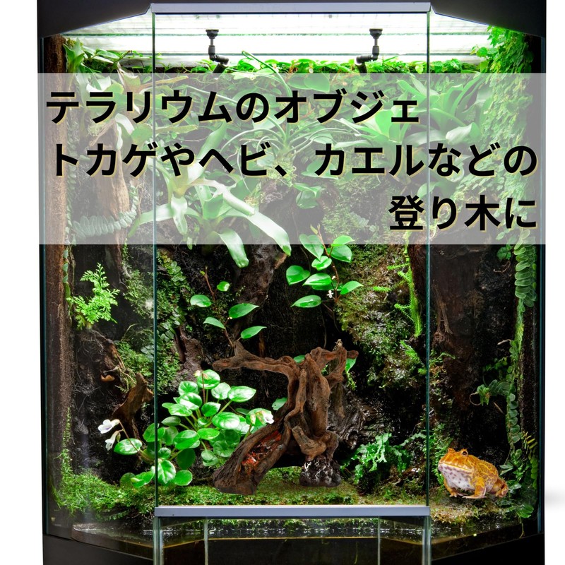 Nanarico Reptile Driftwood Climbing Trees Terrarium Aqua Terrarium Aquarium Decorative