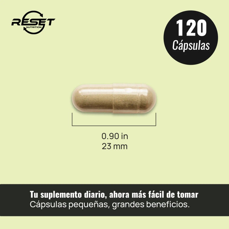 Reset Nutrition Chanca Piedra 1200mg Salud Renal 120 Cáps Sabor