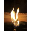 Unbranded Upcycled Dryer Lint Firestarters Pack Of 12 For Camping/Chimin