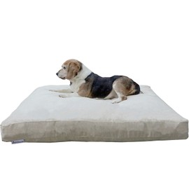 Dogbed4less XL Memory Foam Dog Bed for Medium Large Dogs with Orthopedic Comfort, Waterproof Liner and Khaki Washable Pet Bed Cover 47X29 Pillow
