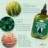 Difeel Aceite para el cabello premium de romero y menta