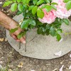 La cordeline Natural Felt Jute Plant Discs Diameter 16 cm