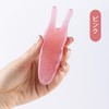 LUYING Samcos Snail Cassis Plate, Nostrils and Nose Muscles, For