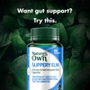 Nature's Own Slippery Elm 400mg - Traditionally used to Help