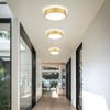 Peblto Dimmable Gold LED Ceiling Light, 2700K-6000K 5CCT in One