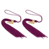 PATIKIL 2 Pcs Graduation Tassel with 2024 Gold Charm, Graduation