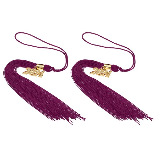 PATIKIL 2 Pcs Graduation Tassel with 2024 Gold Charm, Graduation
