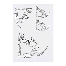 Azeeda 4 x 'Katze und Vogel' Temporäre Tattoos - Wasserfest, Hautfreundlich & Ungiftig · Transfers in Verschiedenen Größen (TO00062664)