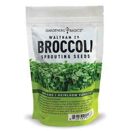 Gardeners Basics, Broccoli Seeds for Sprouting Kit and Microgreens Non-GMO, Heirloom Bulk 1 Pound Resealable Sprouts Bag