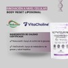 Body Reset Liposomal | 60 Cápsulas | Berberina | Uso