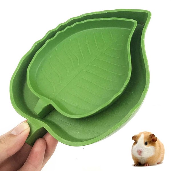 XPEX 2 Pack Leaf Feeding Bowls, Reptile Water Bowls, Feeding